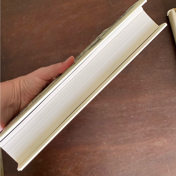 Demon Copperfield by Barbara Kingsolver HARDCOVER book, Like New (Oprah Club) - Picture 11 of 14